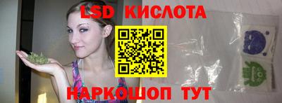 PSILOCYBIN Донской